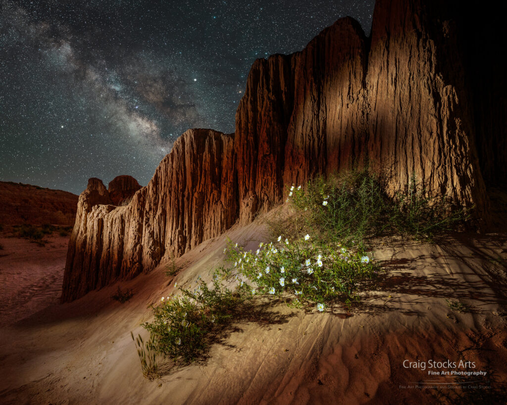Night-blooming primrose at Cathedral Gorge
