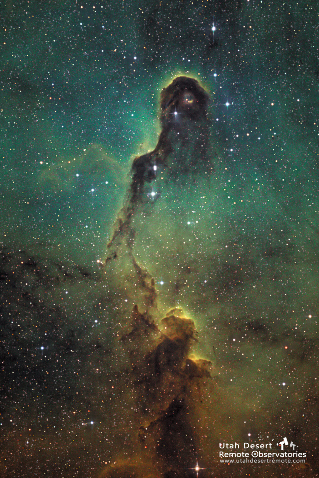 The Elephant Trunk Nebula in the Hubble Palette - Utah Desert Remote