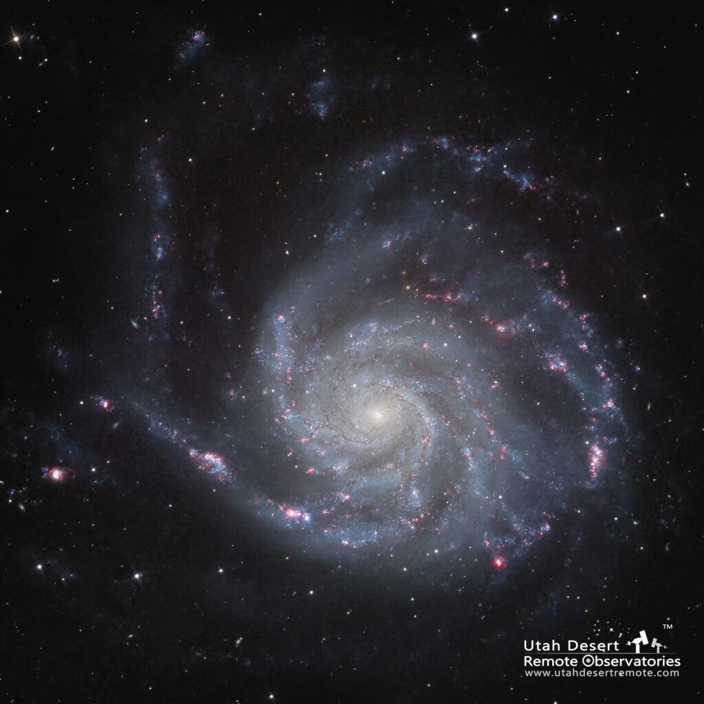Supernova in M101